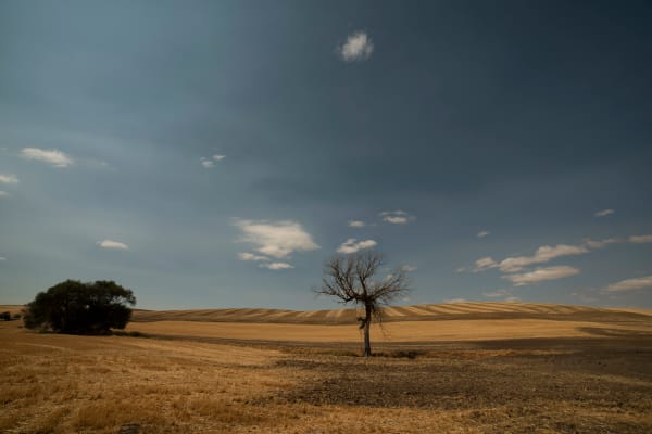 Landscapes
