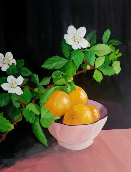 Still Life