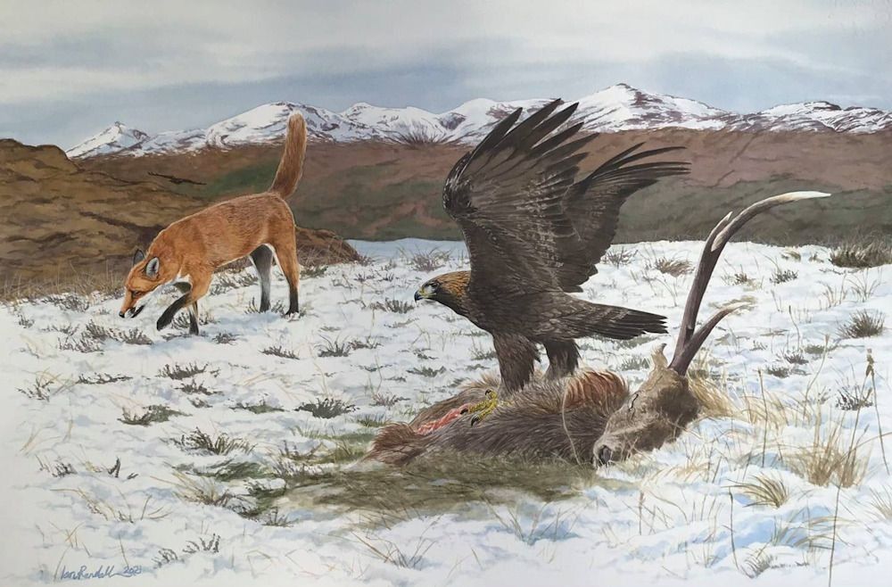 Portfolio | Ian Rendall Artist