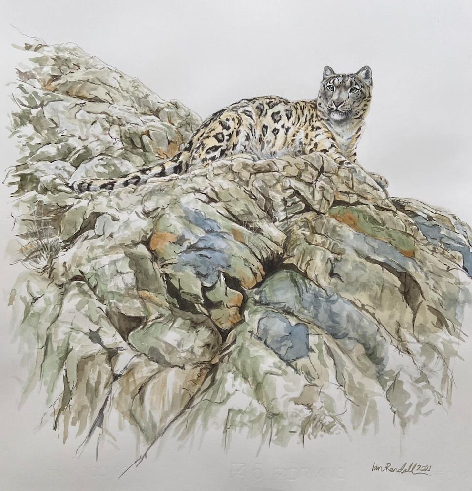 Portfolio | Ian Rendall Artist