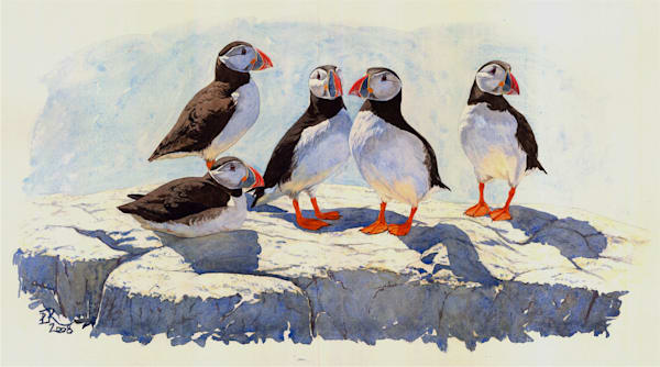 Birds - giclée prints Art | Ian Rendall Artist