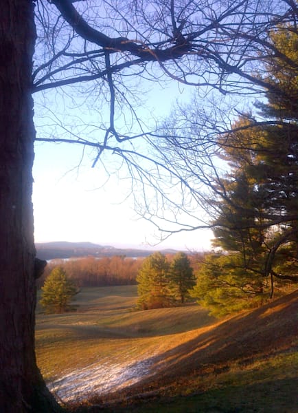 Greener Pastures Photography Art | Art Thou Grateful