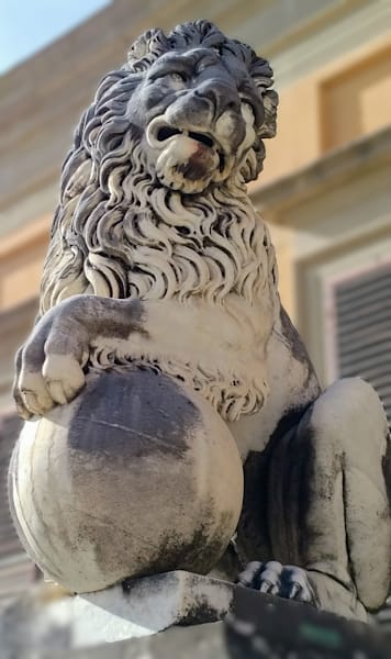 Lion Around Photography Art | Art Thou Grateful