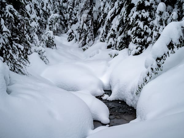 Winter Scenery