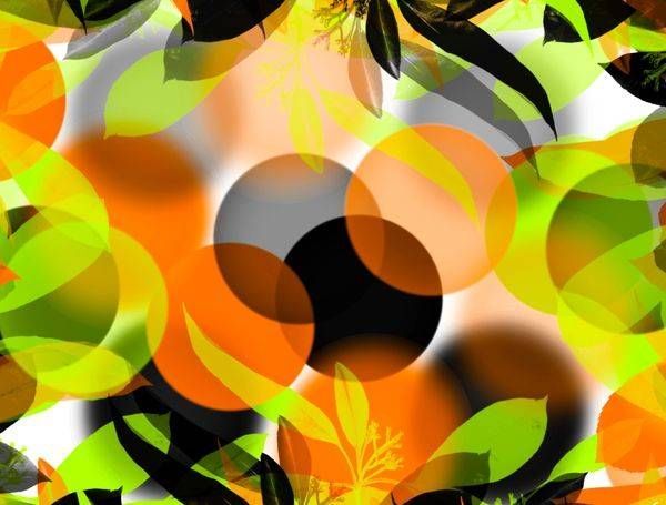 Untitled Artwork