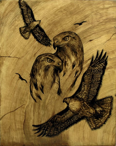 Timber Wood Series