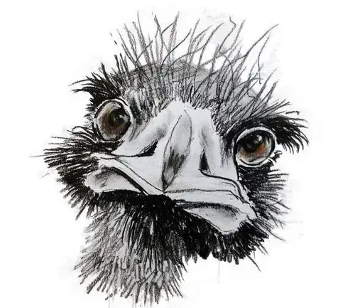 James fforde Art 