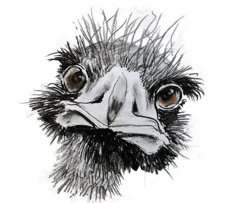 James fforde Art 