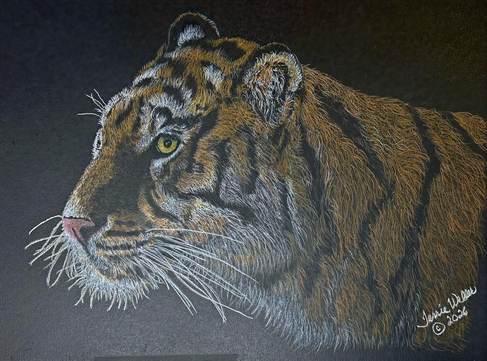 Tiger On Black Art | Fine Art by Terrie D
