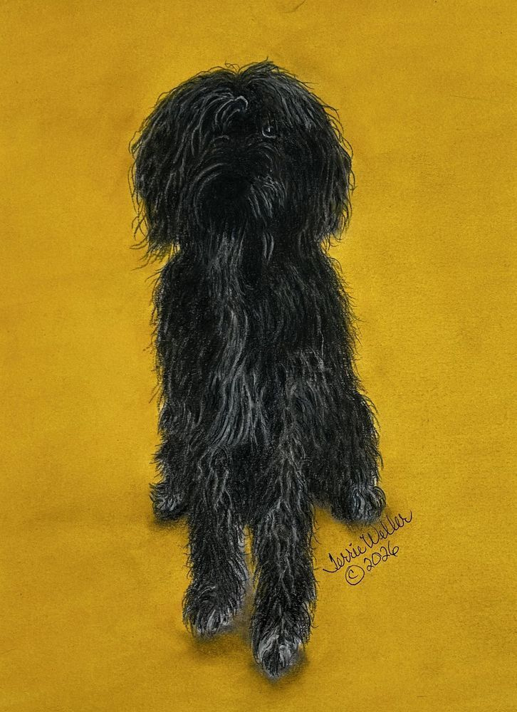 Ruger The Service Dog Art | Fine Art by Terrie D