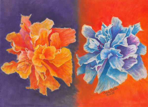 Duel Flowers Art | Fine Art by Terrie D