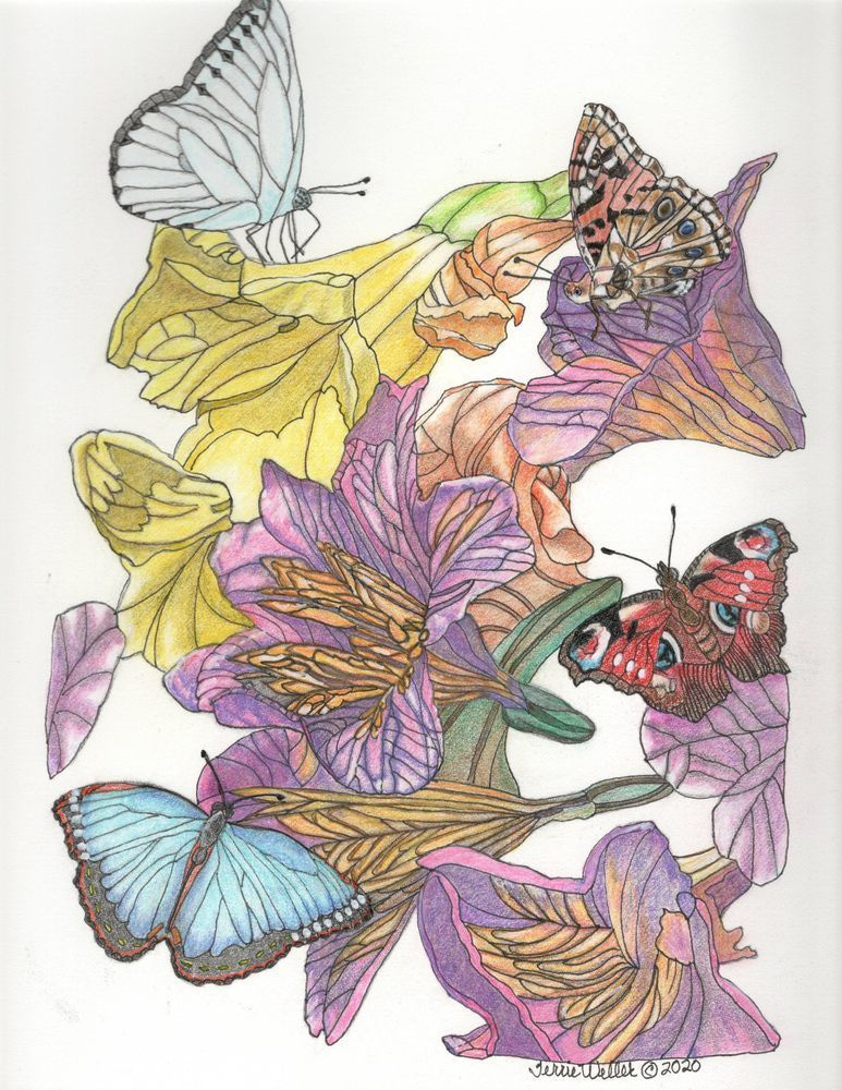 Butterflies And Flowers Art | Fine Art by Terrie D