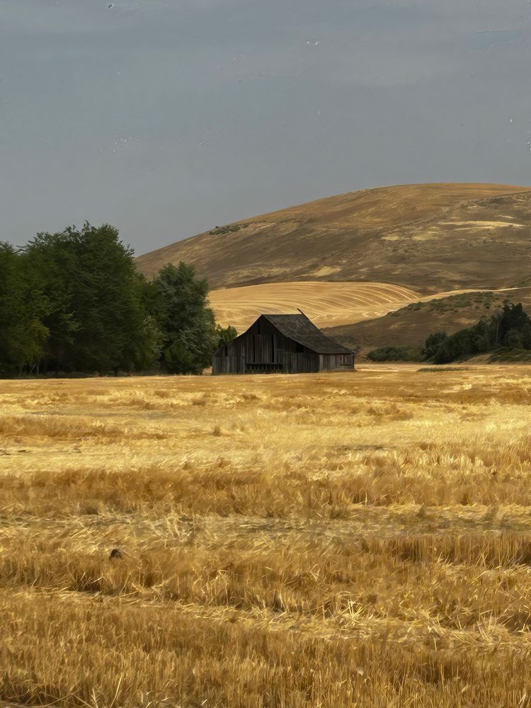 Barn East Of Dufur, Oregon Art | Fine Art by Terrie D