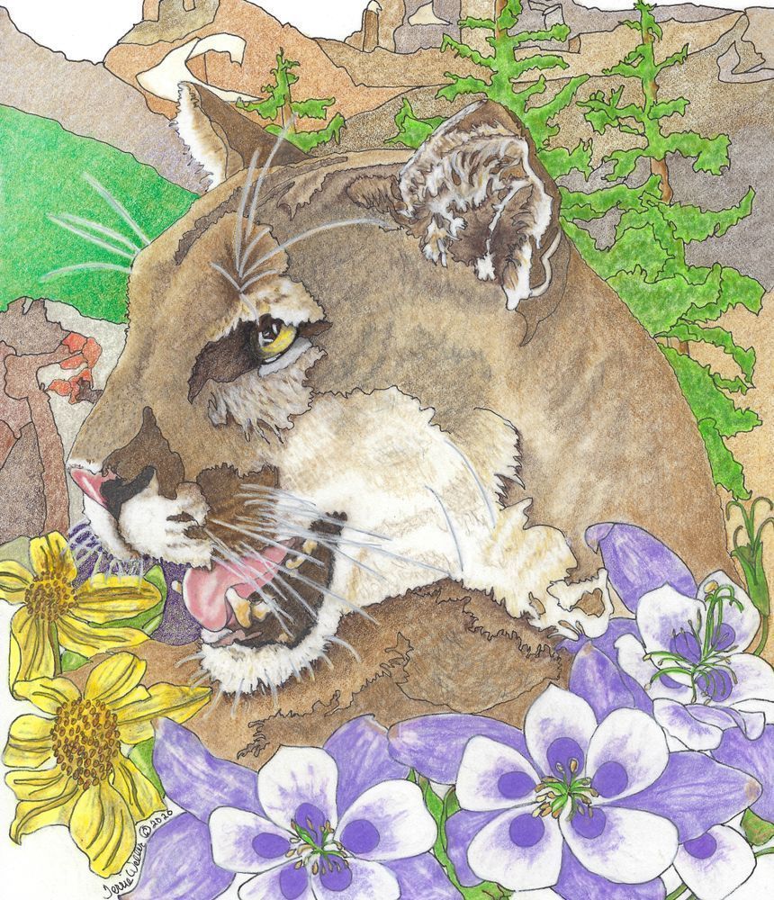 Cougar In High Dessert Art | Fine Art by Terrie D