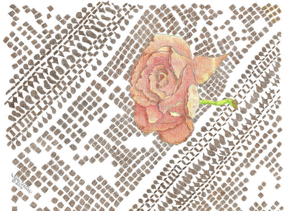 Rose On Lace Art | Fine Art by Terrie D