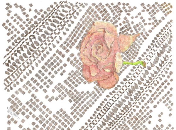 Rose On Lace Art | Fine Art by Terrie D