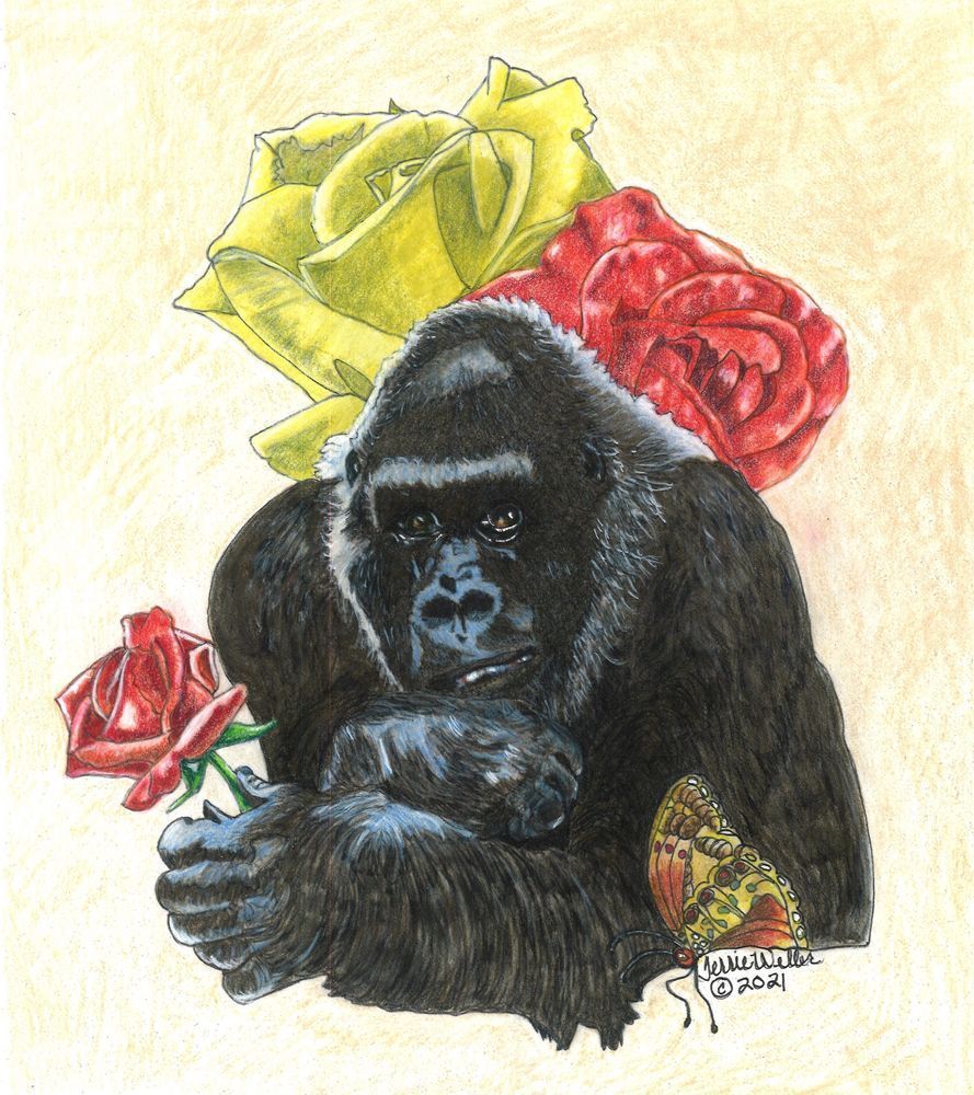 Gorilla With Red Rose Art | Fine Art by Terrie D