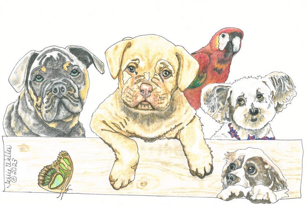 Four Puppies And A Parrot Art | Fine Art by Terrie D