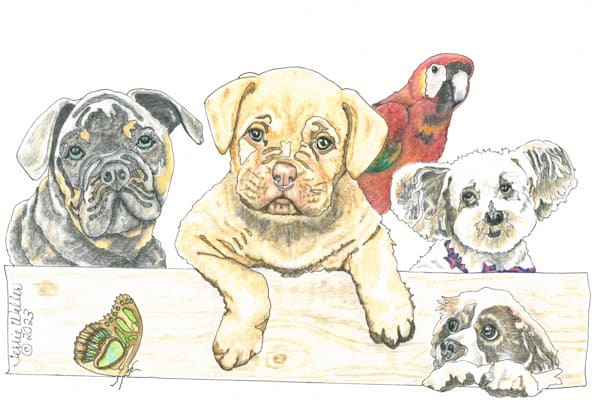 Four Puppies And A Parrot Art | Fine Art by Terrie D