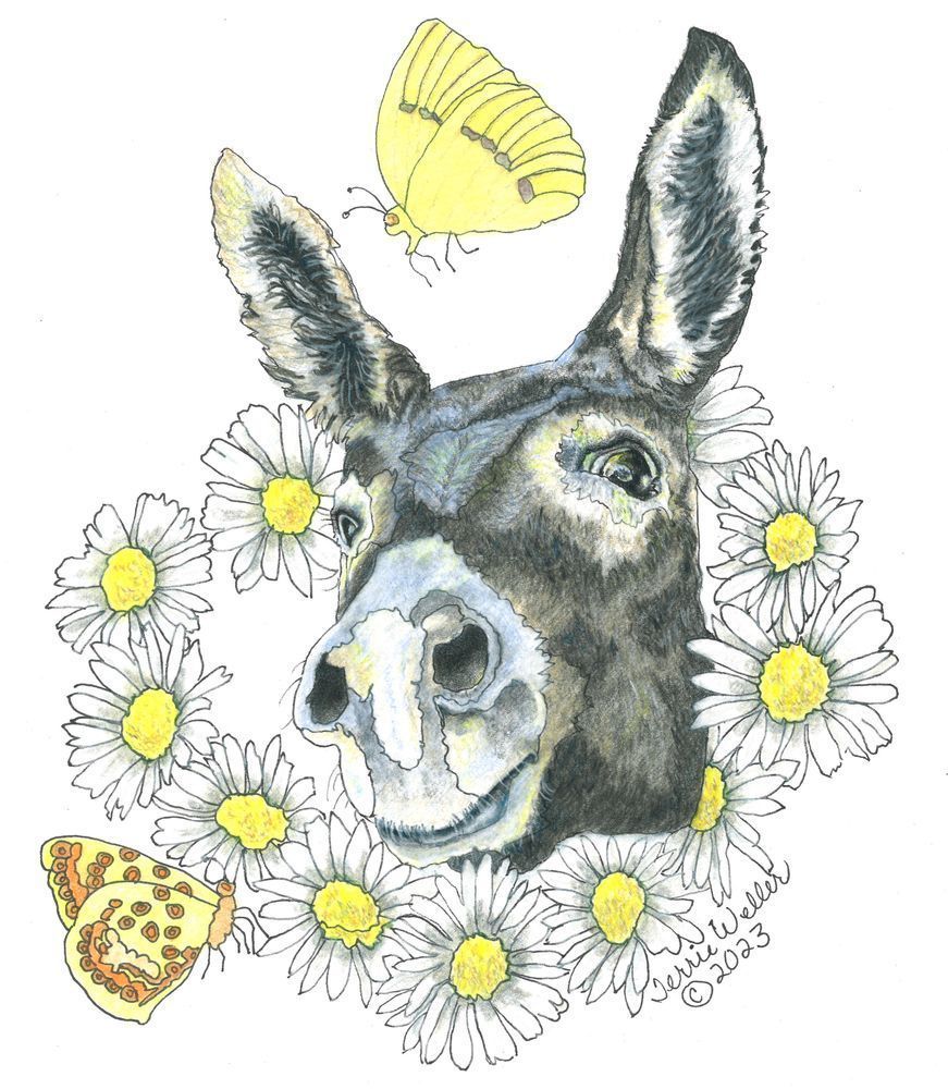 Daisy Donkey Art | Fine Art by Terrie D