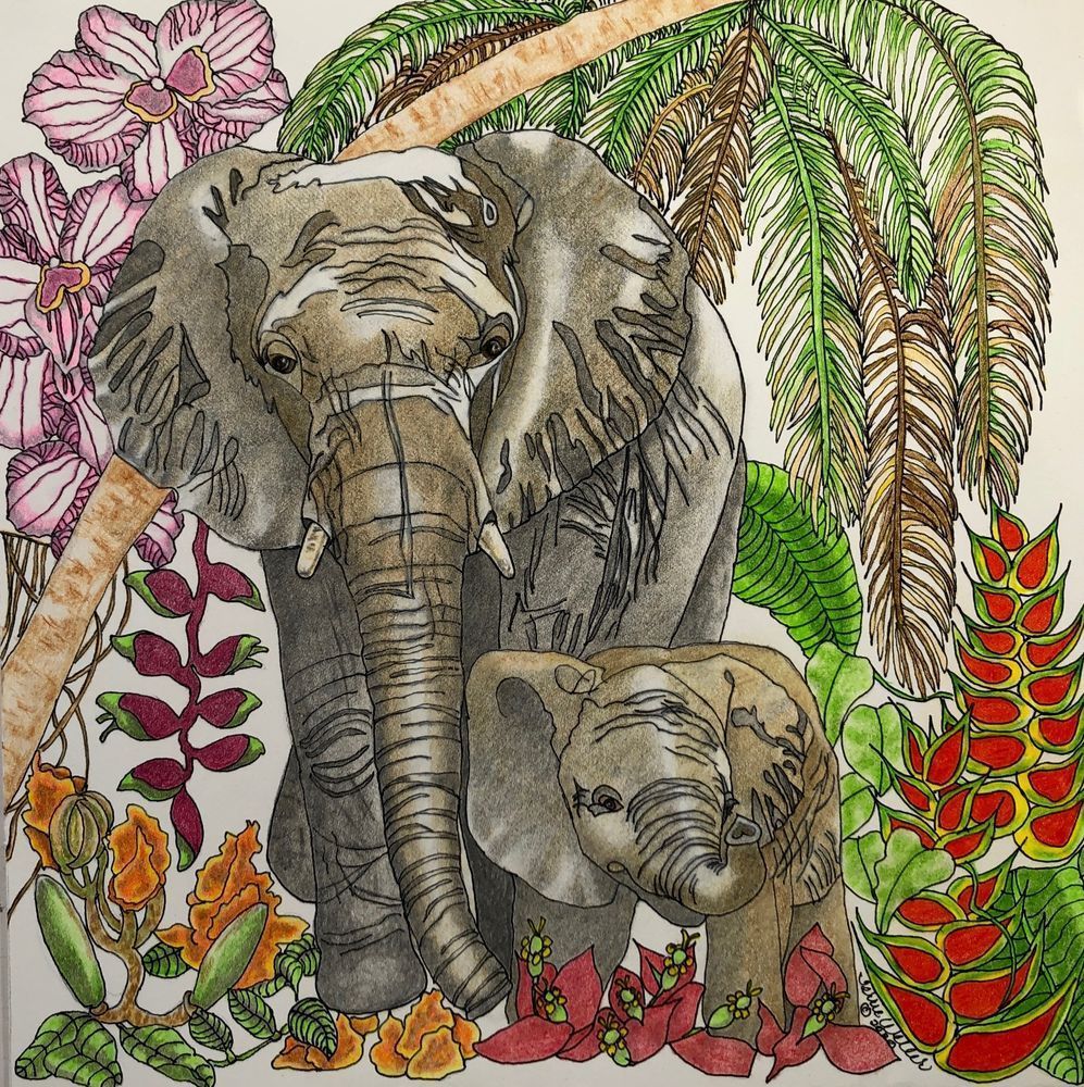 Mama And Baby Elephant Art | Fine Art by Terrie D