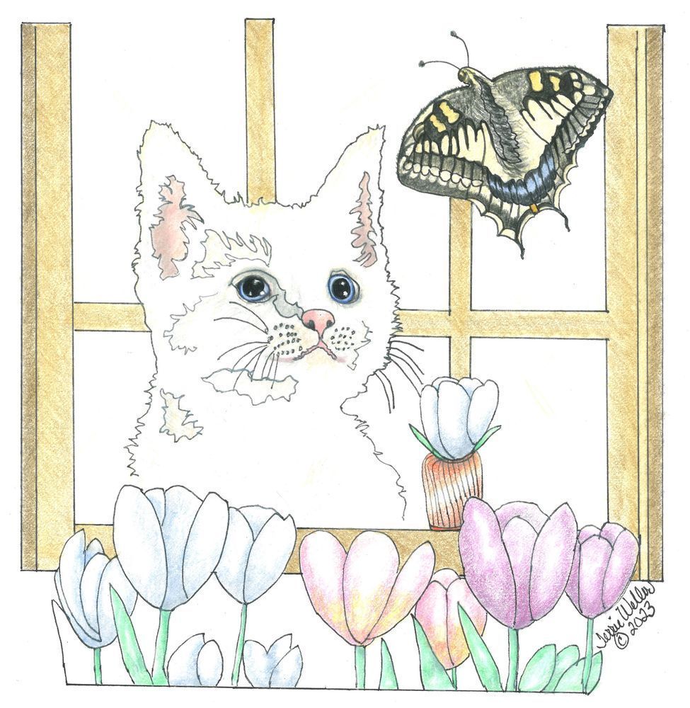 Kitten With Butterfly Art | Fine Art by Terrie D