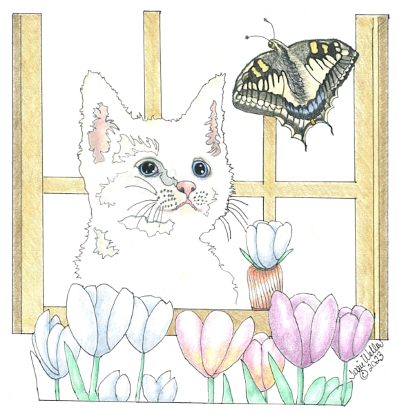 Kitten With Butterfly Art | Fine Art by Terrie D