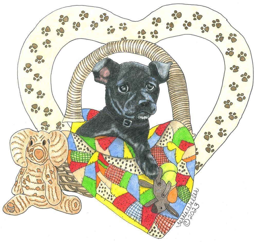 La Fonda Chihuahua Art | Fine Art by Terrie D