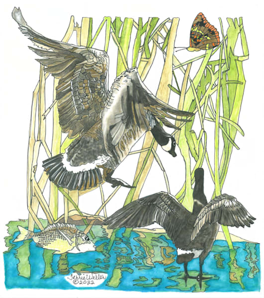Two Canada Geese Art | Fine Art by Terrie D