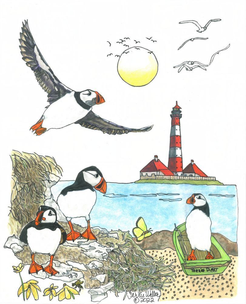 Four Puffins By The Sea Art | Fine Art by Terrie D