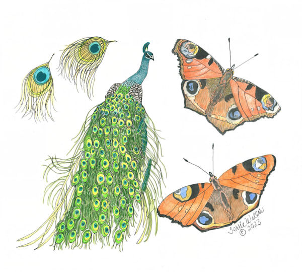 Peacock With Two Butterflies Art | Fine Art by Terrie D