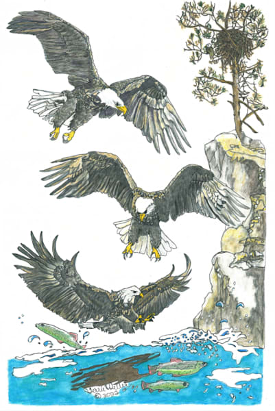 Three Eagles Art | Fine Art by Terrie D