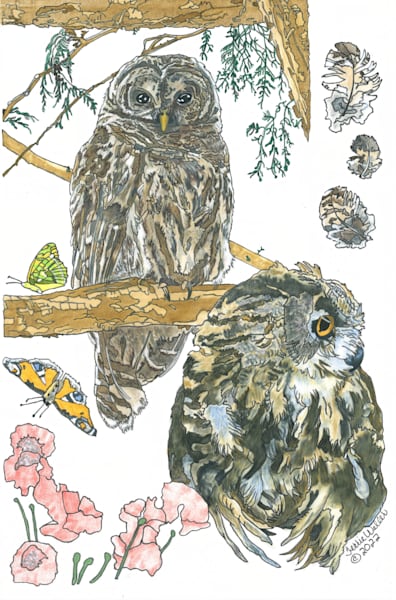 Two Owls Sitting In A Tree Art | Fine Art by Terrie D