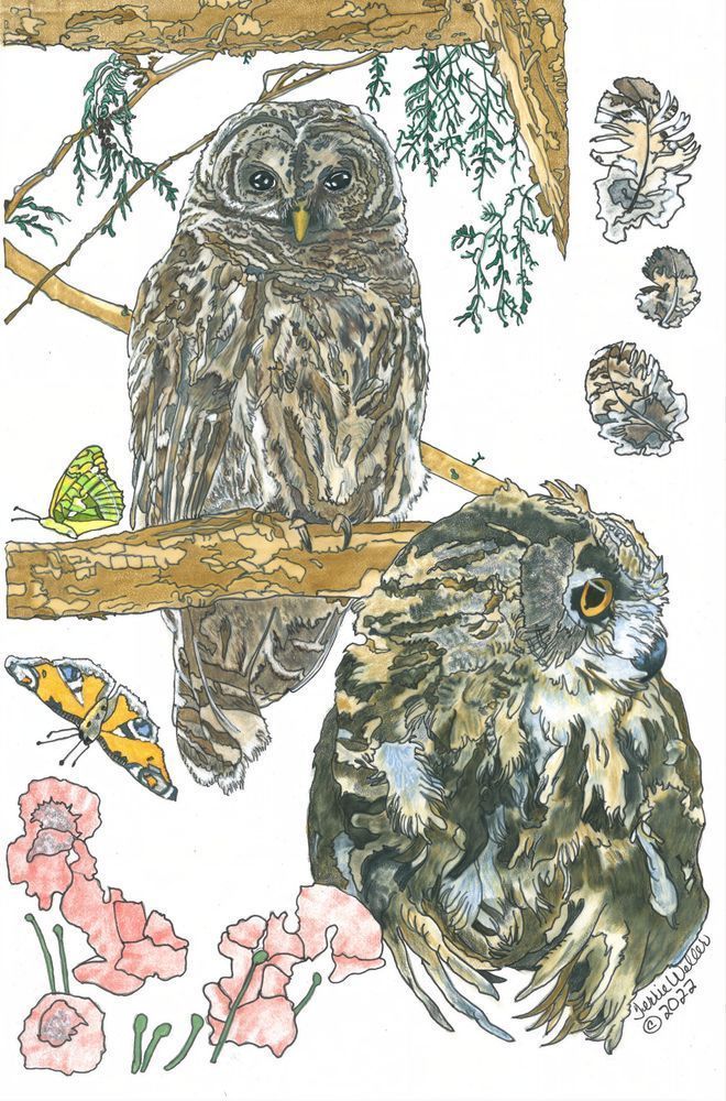 Two Owls Sitting In A Tree Art | Fine Art by Terrie D