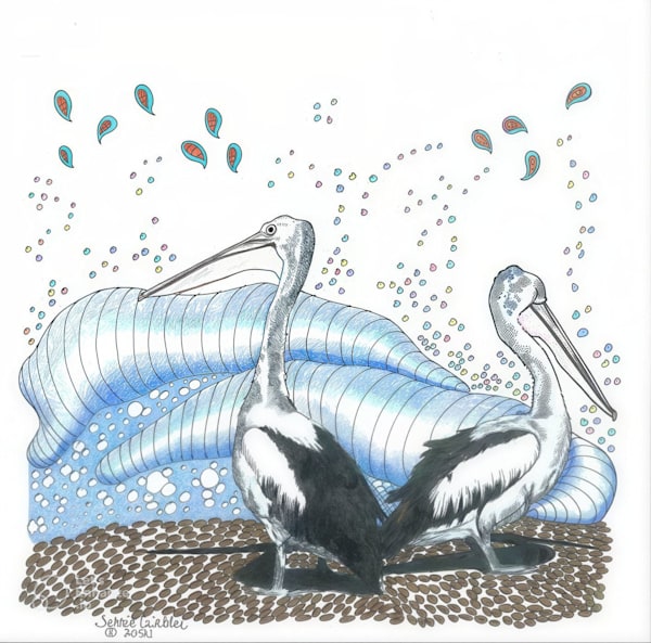 Two Pelicans At The Sea Art | Fine Art by Terrie D
