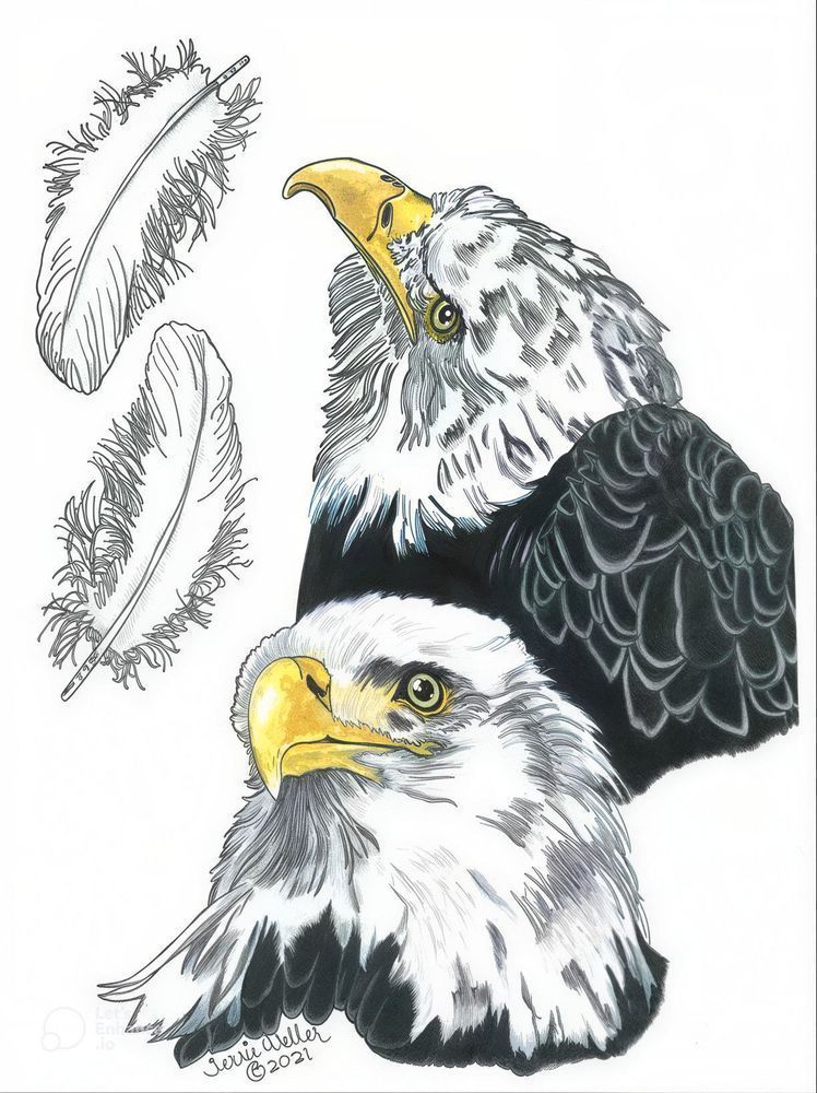 Close Up Of Two Bald Eagles Art | Fine Art by Terrie D