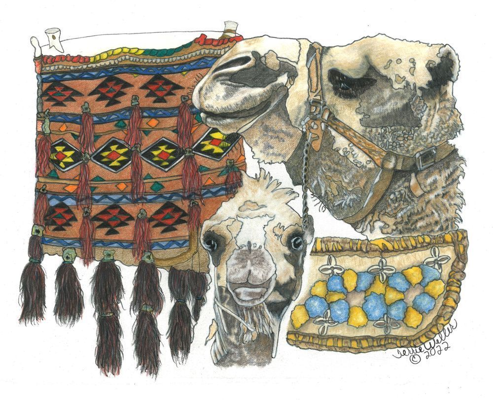Mama And Baby Camel Art | Fine Art by Terrie D