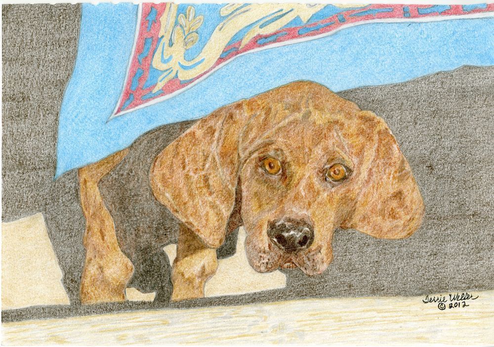 Rocky Art | Fine Art by Terrie D