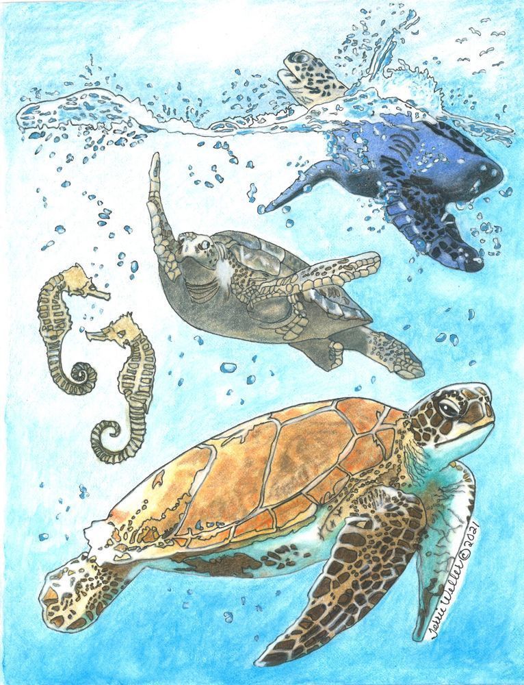 Sea Turtles Art | Fine Art by Terrie D