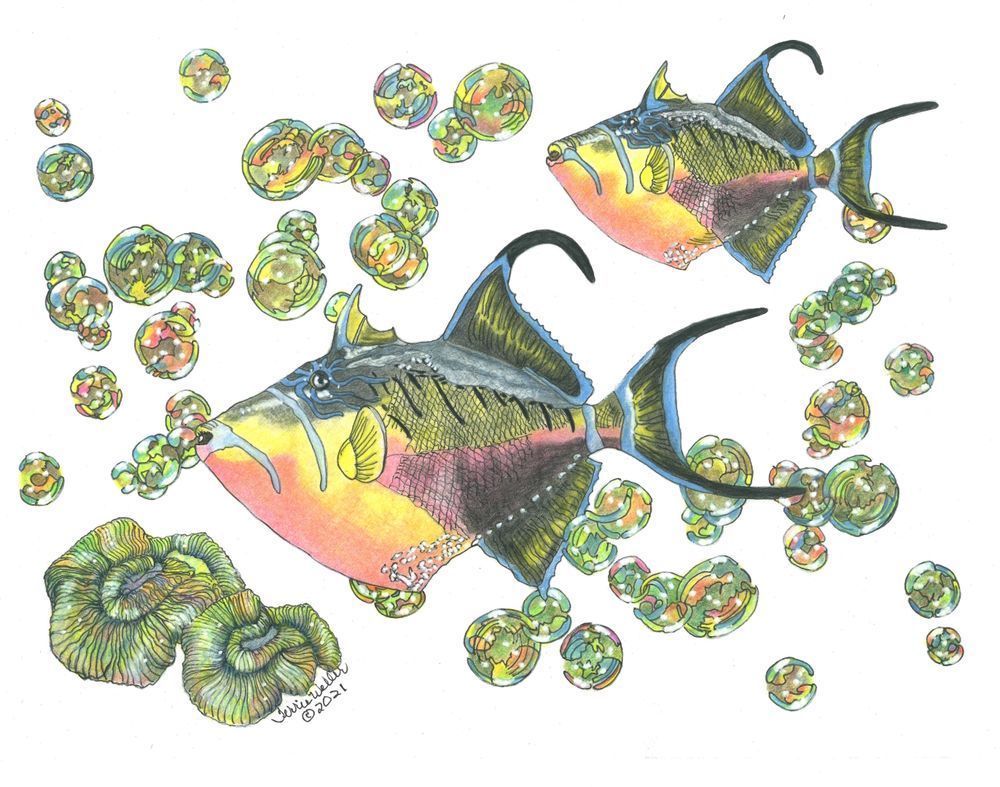 Two Colorful Fish Art | Fine Art by Terrie D