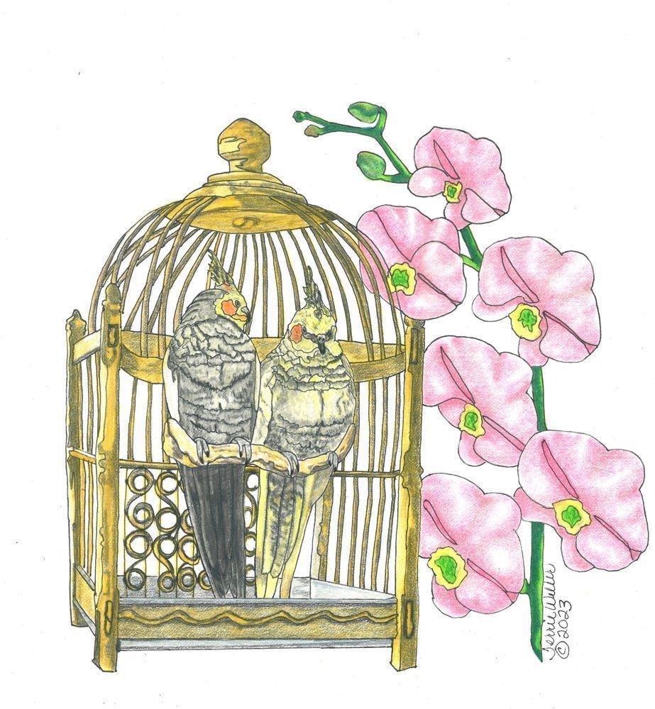 Two Cockatiels In Love Art | Fine Art by Terrie D