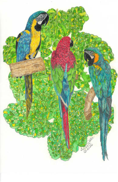 Three Parrots On Mint Leaves Art | Fine Art by Terrie D