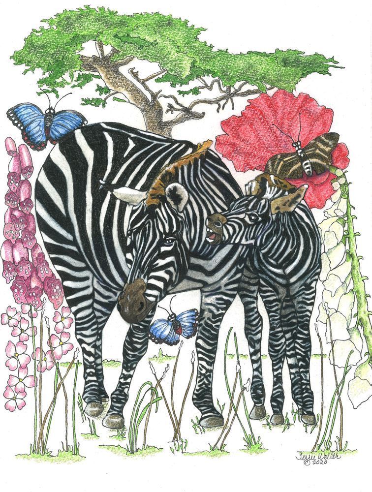 Mama And Baby Zebra Art | Fine Art by Terrie D