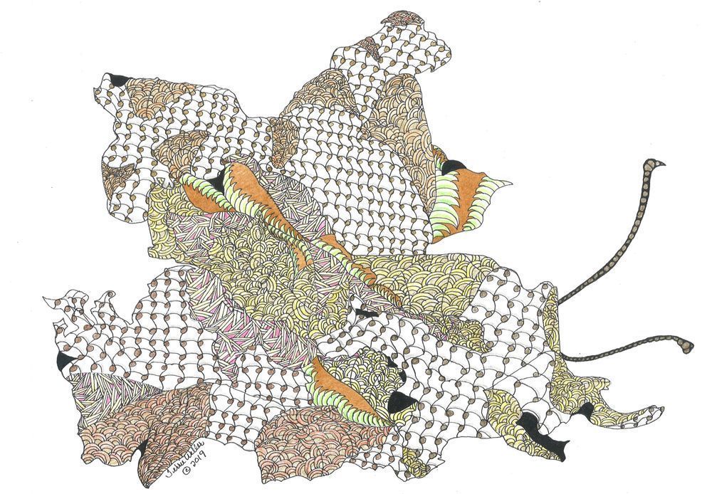Zentangle Colored Pencil Autumn Leaves Art | Fine Art by Terrie D