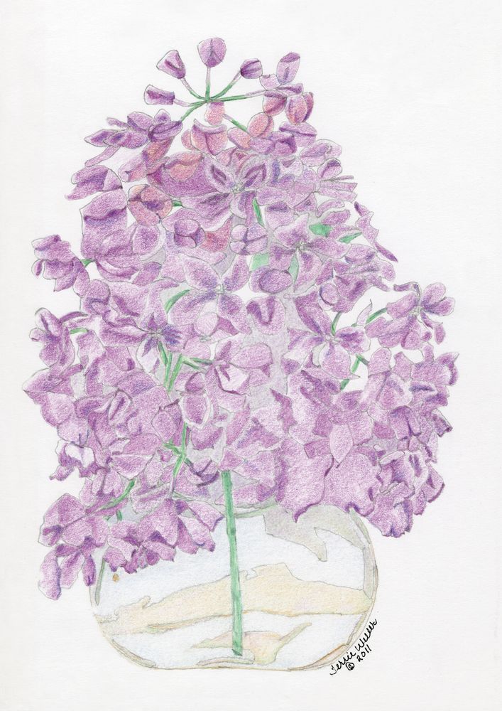 Purple Joy Art | Fine Art by Terrie D
