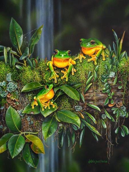 Chorus Line – Red-eyed Tree Frog Art Print | Australian Wildlife Art | Natalie Jane Parker