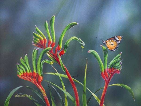 Western Wanderer – Kangaroo Paw & Butterfly Art | Natalie Jane Parker