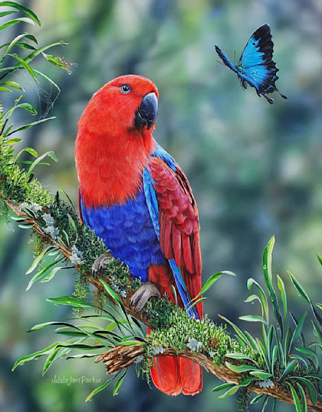 Female Eclectus Parrot (Eclectus roratus) and Ulysses Butterfly (papilio ulysses) with green ants Australian Wildlife Art by Natalie Jane Parker