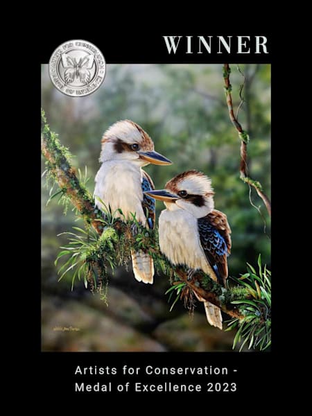 Australian Wildlife Art - Rainforest Glow (Laughing Kookaburras) | Natalie Jane Parker - Ready to hang Artwork