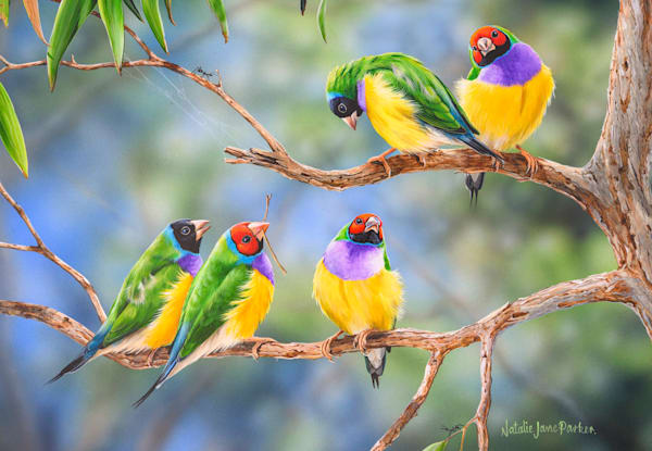 Large Australian Wildlife 2023 Wall Calendar - Standard Edition